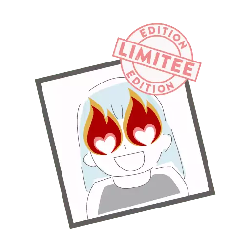 Magnets en Édition Limitée